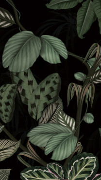 Jungle