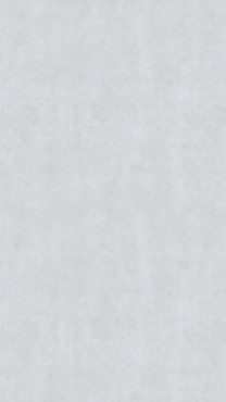 Décor Béton silvero