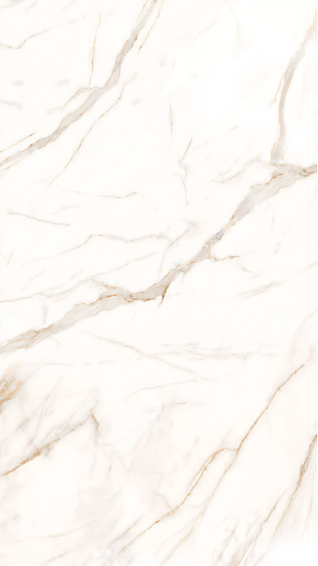 Panneau mural douche Décofast marbre Marbre Gold mat design et étanche