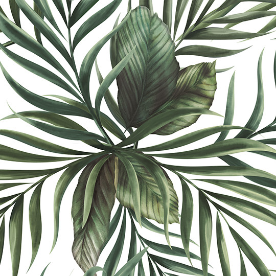 Panneau mural douche Décofast végétalis Tropical design et étanche