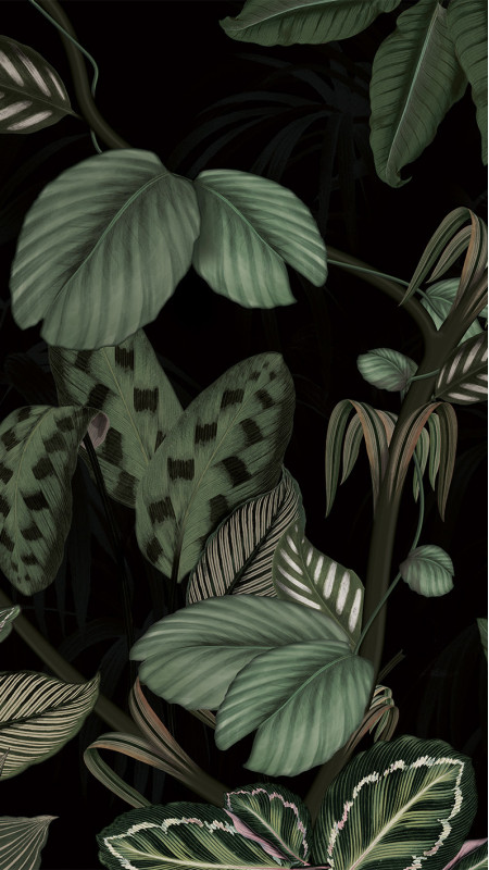 Panneau mural douche Décofast panoramique Jungle design et étanche