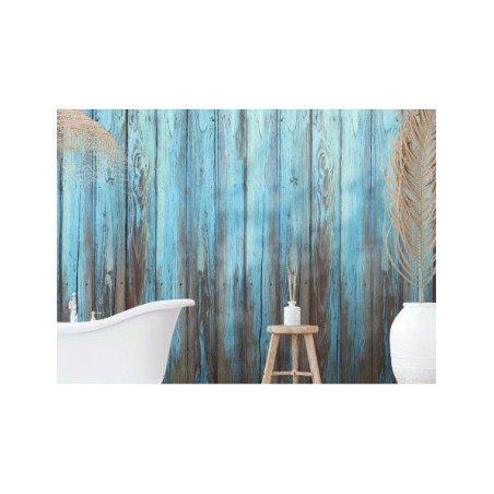 Panneau mural douche Décofast collector Cabane design et étanche